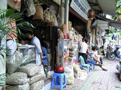 Lan Ong- jalan tempat menjual obat-obat timur tradisional di kota Hanoi - ảnh 3