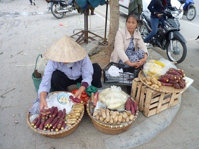 Social Risk Fund-a new approach to reducing poverty in Thanh Hoa - ảnh 3