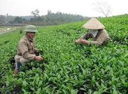 Vietnam’s agriculture makes a headline at Davos Forum - ảnh 1