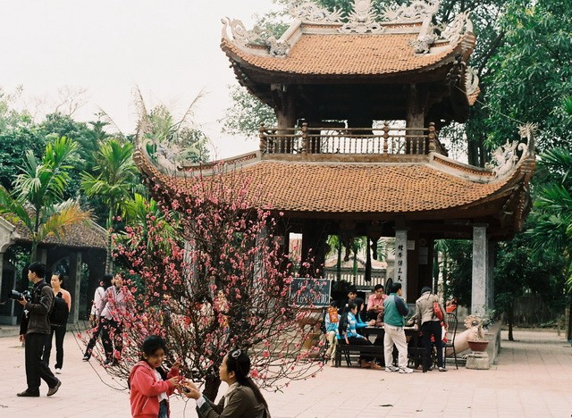越南人新年入寺拜佛的文化 - ảnh 2