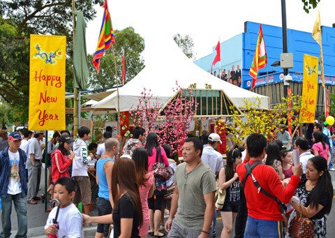 海外越南人举行各种迎新春活动 - ảnh 2