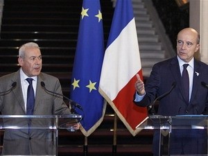 俄罗斯将考虑法国关于叙利亚问题的倡议 - ảnh 1