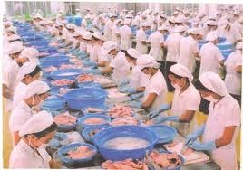 美国商务部公布越南产冷冻查鱼进口税率 - ảnh 1