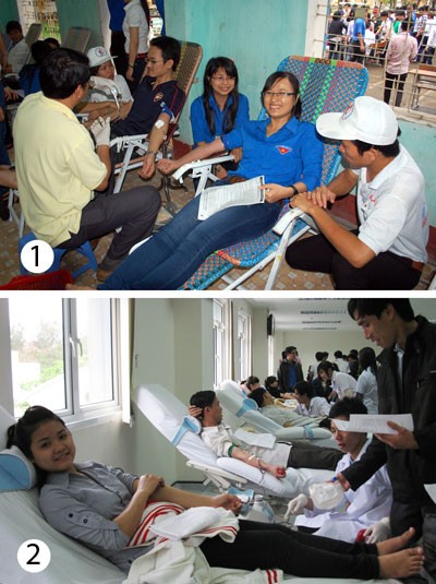越南近百分之一的人口志愿献血 - ảnh 1
