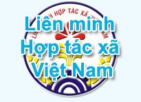 越南全国合作社联盟举行成立66周年纪念会 - ảnh 1