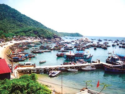 树立越南海洋品牌 - ảnh 1