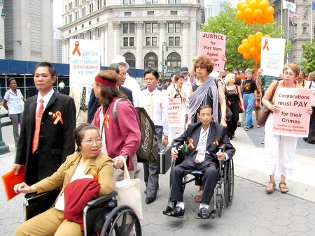 世界民主律师协会呼吁保护越南橙剂受害者权益 - ảnh 1
