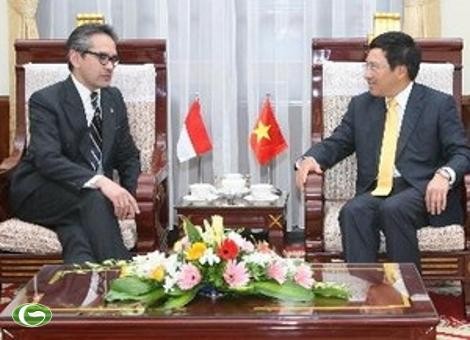 越南-印度尼西亚面向建立战略伙伴关系 - ảnh 1