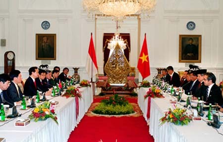 越南-印度尼西亚面向战略伙伴关系 - ảnh 1