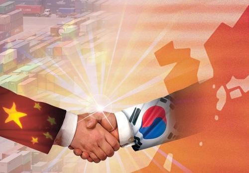 中韩同意加快自贸协定谈判进程 - ảnh 1