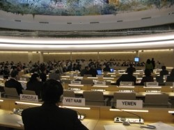 越南积极主动参加联合国人权理事会的活动 - ảnh 1