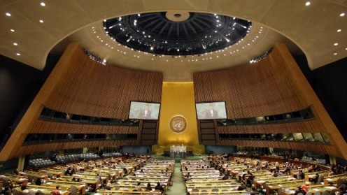 联合国大会就接纳巴勒斯坦为观察员国议案进行投票 - ảnh 1