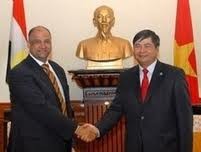 越南和埃及就加强贸易合作举行视频对话会 - ảnh 1