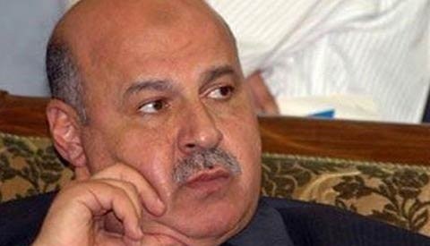 埃及副总统宣布辞职，新宪法草案全民公投结束 - ảnh 1