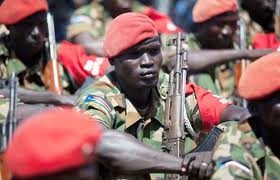 苏丹和南苏丹在边境地区发生新的暴力冲突 - ảnh 1