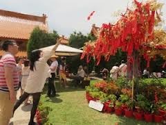 旅外越南人欢度民族传统春节 - ảnh 1