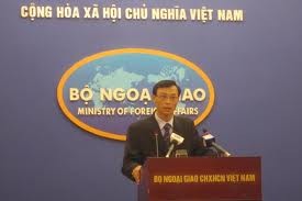 越南外交部举行例行记者会 - ảnh 1