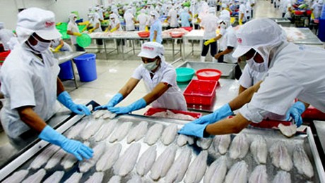 越南企业反对美国商务部对越南冷冻查鱼片征收反倾销税 - ảnh 1