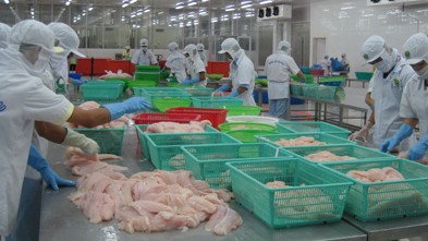 越南企业反对美国商务部对越南冷冻查鱼片征收反倾销税 - ảnh 2