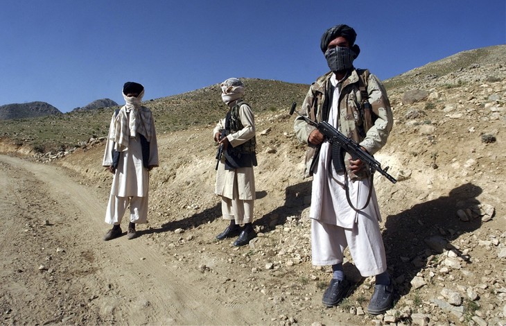 阿富汗计划清除逾万公顷罂粟田 - ảnh 1