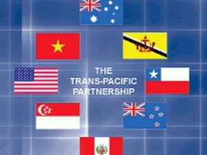 美国企业支持越南参加《泛太平洋战略经济伙伴关系协定》谈判 - ảnh 1