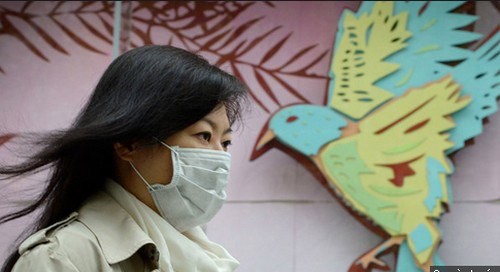 无证据证明H7N9可人际传播 - ảnh 1