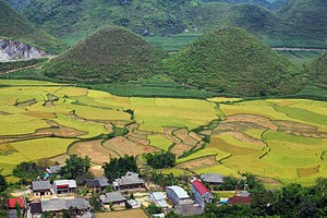 越南北部山区农业、工业和贸易博览会将在河江省举行 - ảnh 1