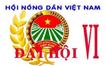 越南农民协会第六次全国代表大会将于7月1日开幕 - ảnh 1