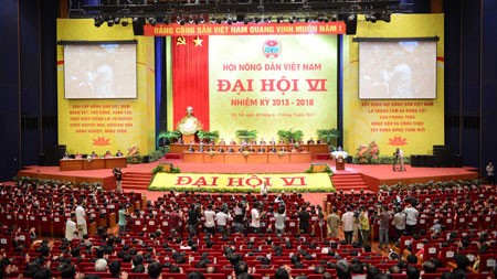 越南农民协会第六次全国代表大会开幕 - ảnh 1