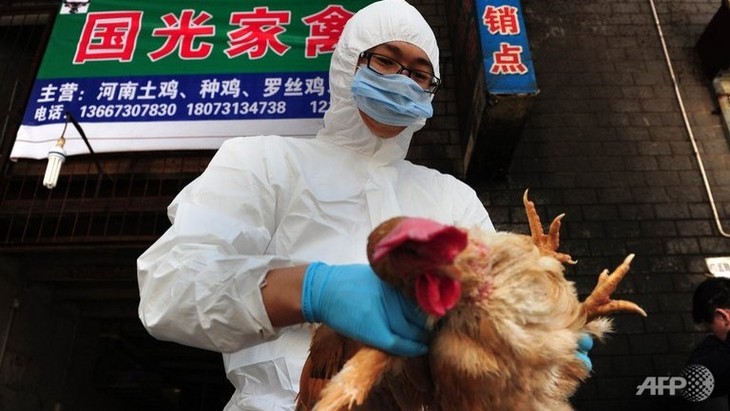 中国新增一例H7N9禽流感确诊病例 - ảnh 1