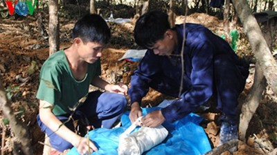 越南政府总理批准烈士遗骨寻找归葬提案  - ảnh 1