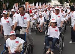 越南全国各地举行多项活动帮助橙剂受害者 - ảnh 1