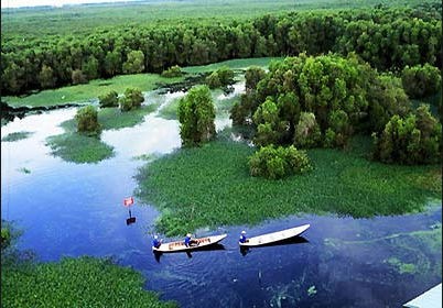 乌明上国家森林公园获颁东盟遗产公园证书 - ảnh 1