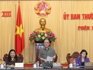 越南国会常务委员会讨论社会经济发展情况 - ảnh 1