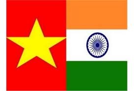 加强越南—印度民间交流 - ảnh 1