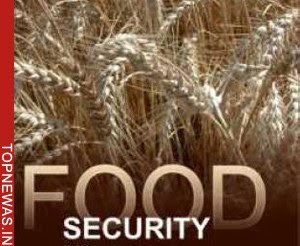 将保障粮食安全与提高农业生产效率相结合 - ảnh 2