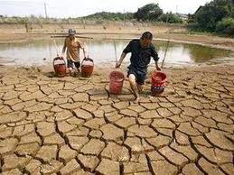 越南承诺开展应对气候变化活动 - ảnh 1