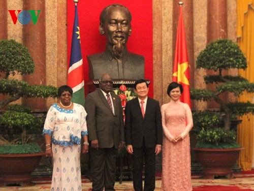 越南和纳米比亚加强全面合作 - ảnh 1