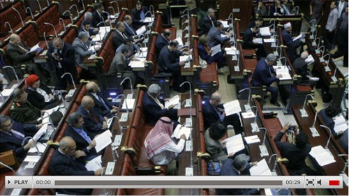 埃及通过新宪法草案 - ảnh 1