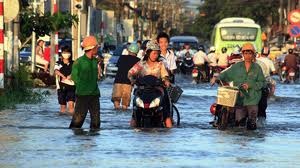 越南努力适应和应对气候变化 - ảnh 1