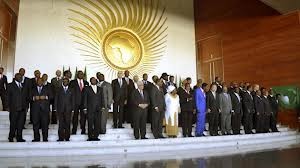 第22届非洲联盟首脑会议开幕 - ảnh 1