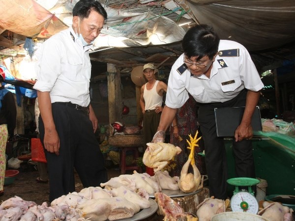 USAID向越南降低禽流感对健康威胁项目提供援助 - ảnh 1