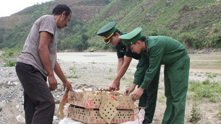 越南采取措施防控 H7N9禽流感疫情 - ảnh 1