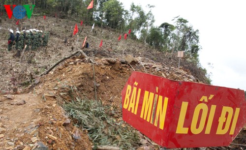 越南致力于克服遗留爆炸物危害 - ảnh 2