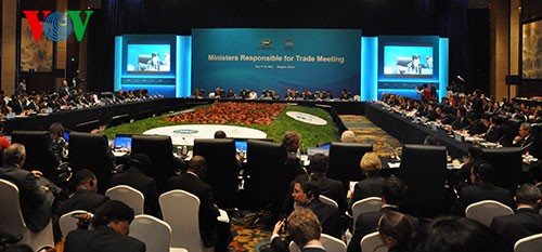 第20届亚太经合组织贸易部长会议闭幕 - ảnh 1