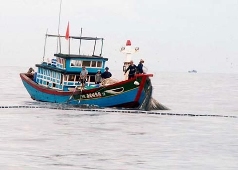 向渔民提供16万亿越盾援助：越南国会正确、及时的决策 - ảnh 1
