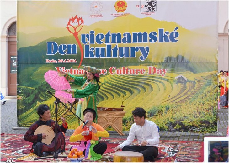 捷克越南文化日活动气氛热烈 - ảnh 1