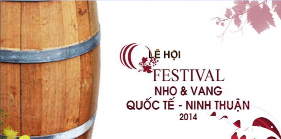 2014宁顺国际葡萄和葡萄酒节即将举行 - ảnh 1