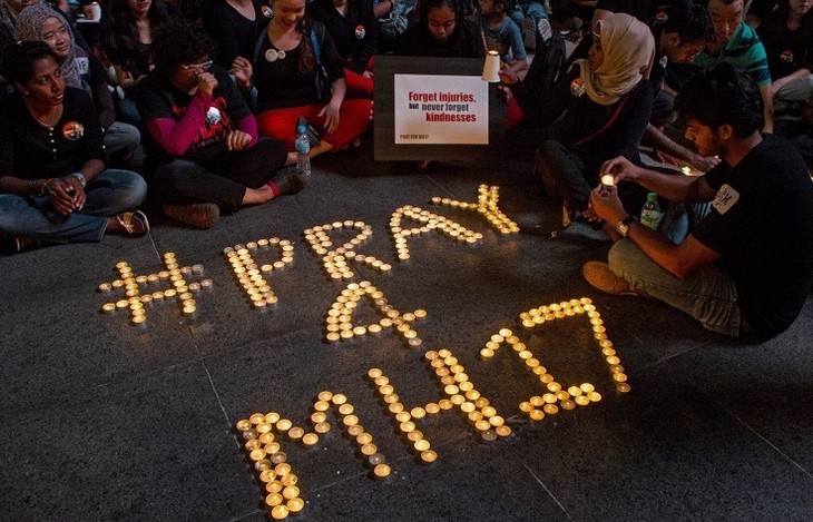 马来西亚与支持联邦化的乌克兰民间武装达成MH17坠机事故有关协定 - ảnh 1
