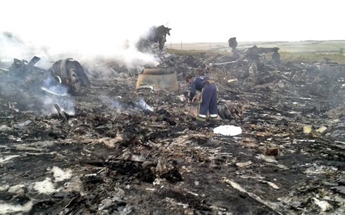 国际调查人员未能进入马航MH17坠机现场 - ảnh 1